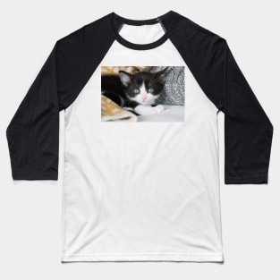 Kitten Baseball T-Shirt